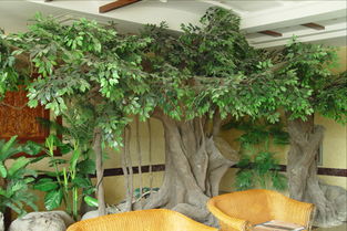 南寧假樹(shù)批發(fā) 專(zhuān)業(yè)的仿真榕樹(shù)供應(yīng)商推薦