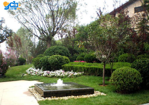 園林機(jī)械租賃 園林景觀工程水景施工難點(diǎn)分析